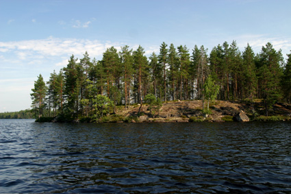 Horonjärvi